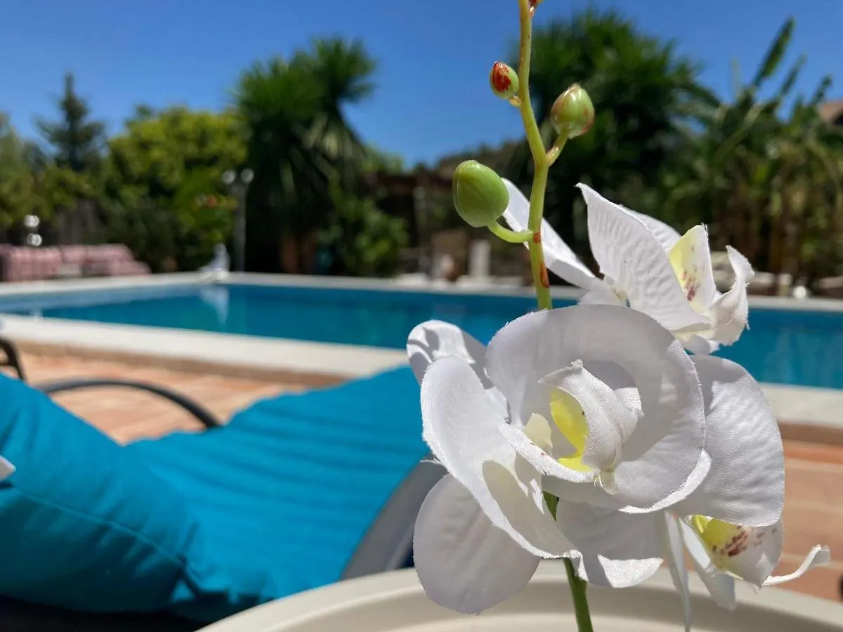Finca Del Gecko Alhaurin el Grande Spain
